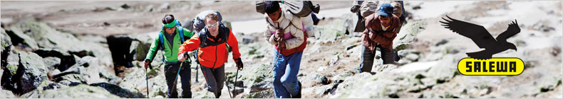 Salewa